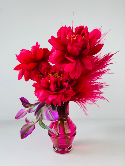 FALL PEONIES