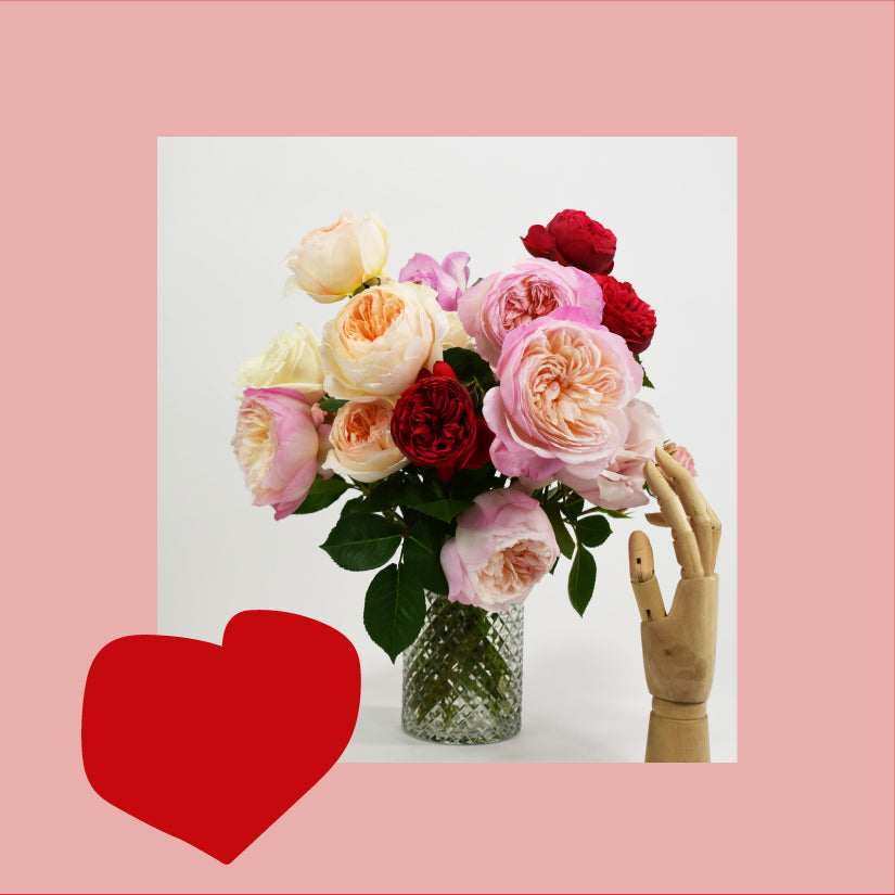 VALENTINE'S DAY SHOULD BE EVERY DAY