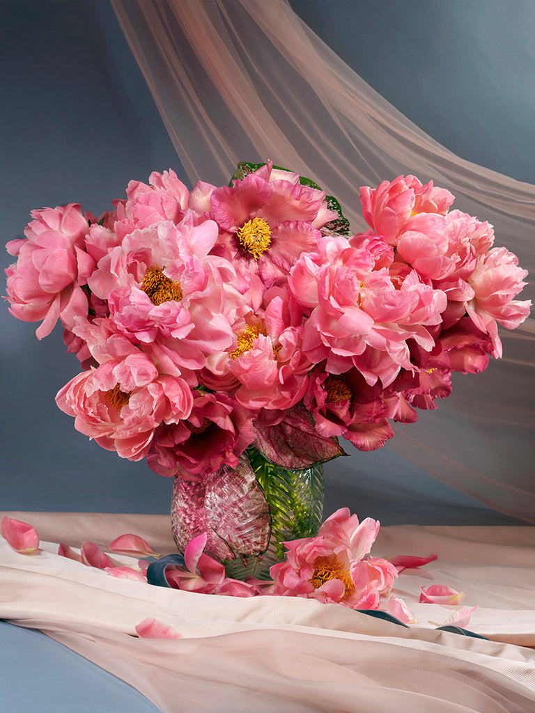 Palette de la printemps