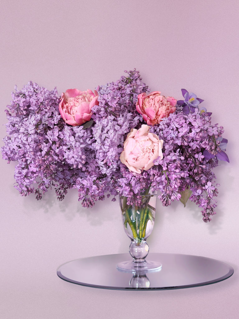 Saison Lilas