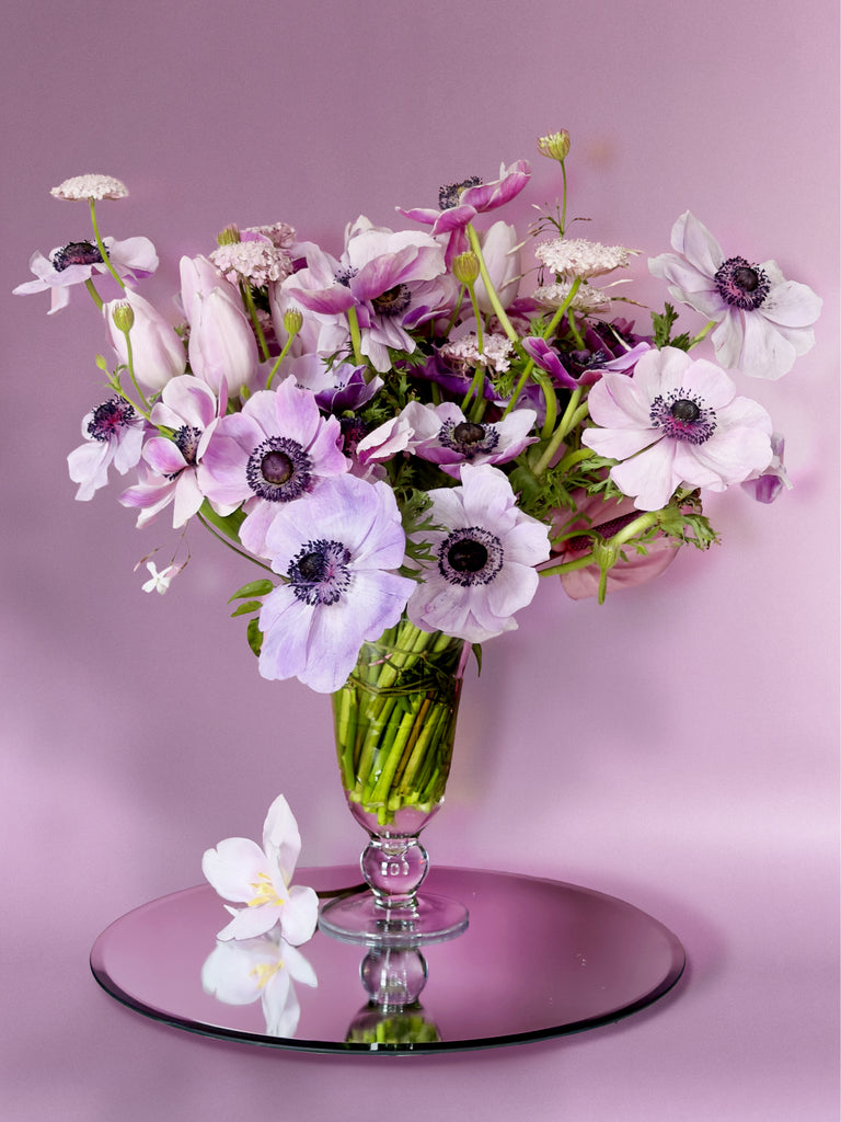 Printemps en Rêve